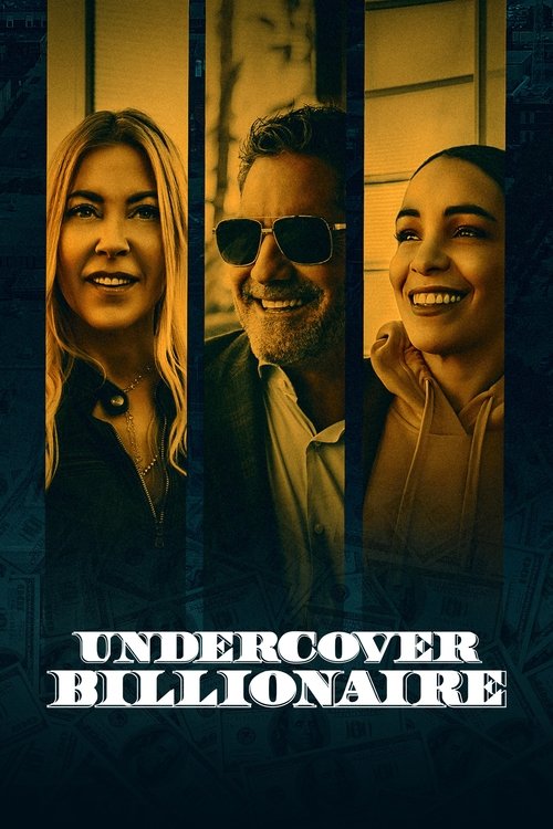 Discovery. Миллиардер под прикрытием