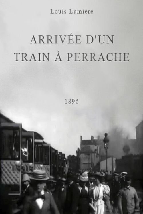 Arrival of a Train at Perrache
