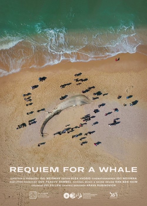 Requiem for a Whale